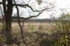 castricum2_013_small.jpg