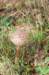 castricum2_014_small.jpg
