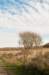 castricum2_016_small.jpg