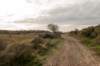castricum2_017_small.jpg
