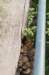 castricum2_020_small.jpg