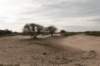 castricum2_021_small.jpg