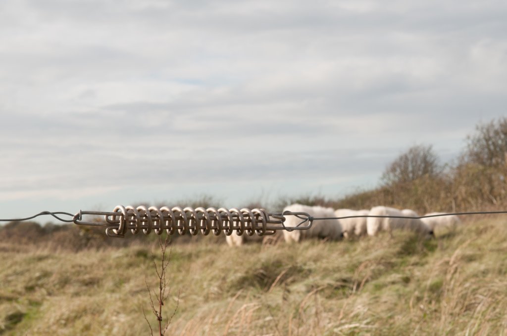 castricum2_022.jpg