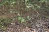 castricum2_024_small.jpg
