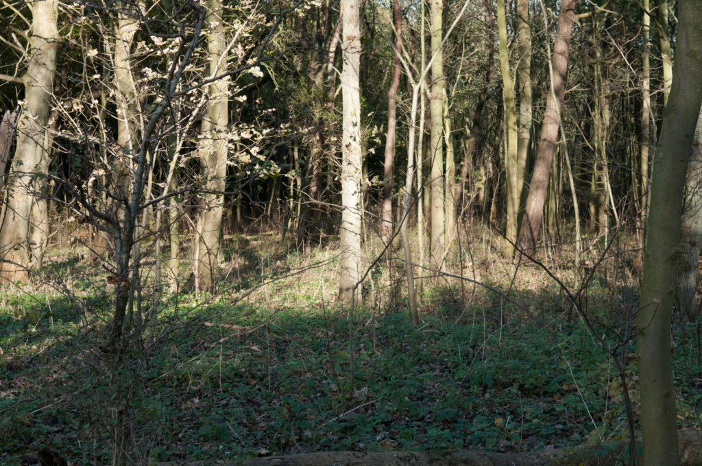 castricum2_027.jpg