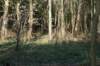castricum2_027_small.jpg