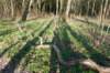 castricum2_028_small.jpg