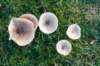 castricum2_029_small.jpg
