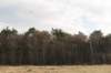 castricum2_031_small.jpg