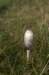 castricum2_033_small.jpg