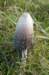 castricum2_034_small.jpg