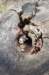 castricum2_036_small.jpg