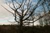 castricum2_037_small.jpg