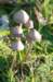 castricum2_039_small.jpg