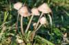 castricum2_040_small.jpg