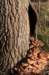 castricum2_041_small.jpg