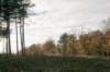 castricum2_043_small.jpg