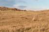 castricum2_044_small.jpg