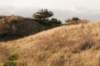 castricum2_047_small.jpg