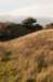 castricum2_048_small.jpg