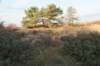 castricum2_050_small.jpg