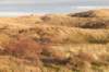 castricum2_051_small.jpg