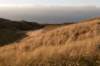 castricum2_052_small.jpg