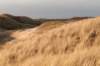 castricum2_053_small.jpg