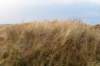 castricum2_054_small.jpg