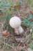 castricum2_055_small.jpg