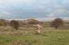 castricum2_056_small.jpg