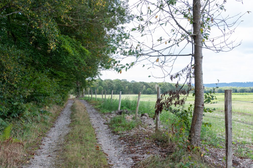 normandi2021_029.jpg