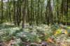normandi2021_030_small.jpg