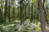 normandi2021_031_small.jpg