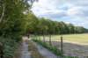 normandi2021_032_small.jpg