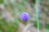 normandi2021_034_small.jpg