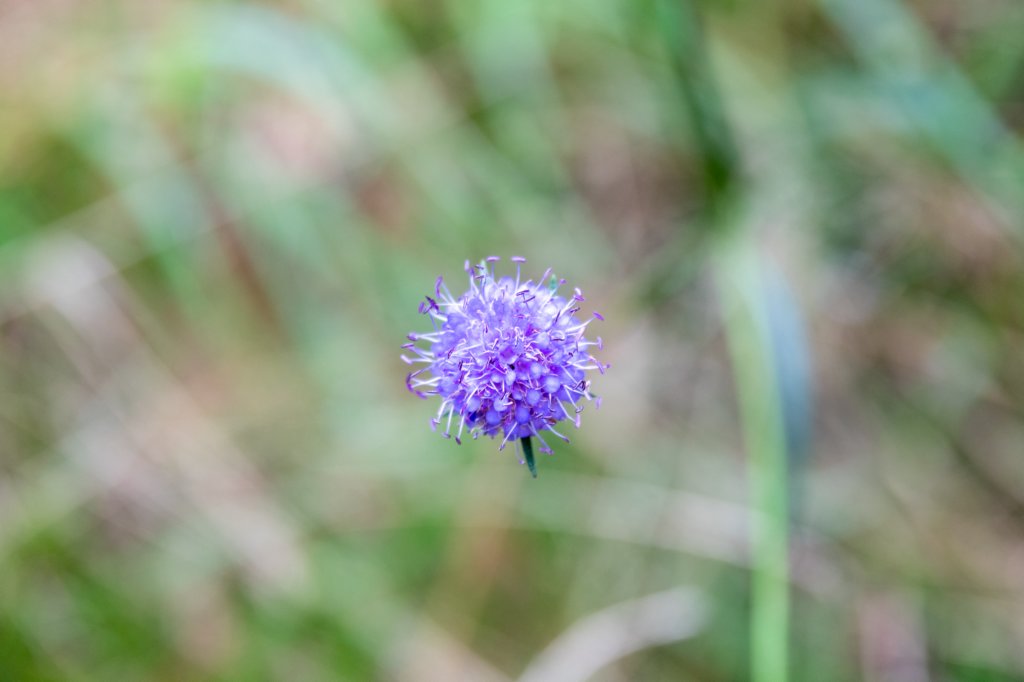 normandi2021_035.jpg