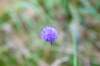 normandi2021_035_small.jpg