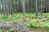 normandi2021_036_small.jpg