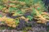 normandi2021_038_small.jpg