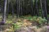 normandi2021_039_small.jpg