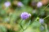 normandi2021_040_small.jpg