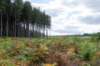 normandi2021_041_small.jpg