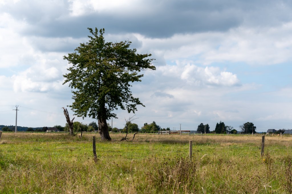 normandi2021_046.jpg