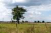 normandi2021_046_small.jpg