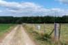 normandi2021_047_small.jpg