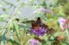 normandi2021_054_small.jpg
