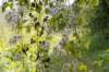 normandi2021_059_small.jpg