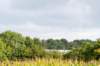 normandi2021_060_small.jpg