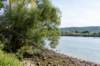 normandi2021_071_small.jpg